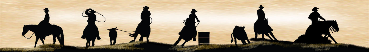 Perfect Horse Auctions Demo