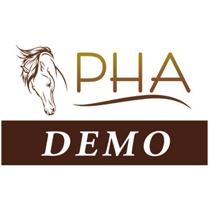 Demo Custom